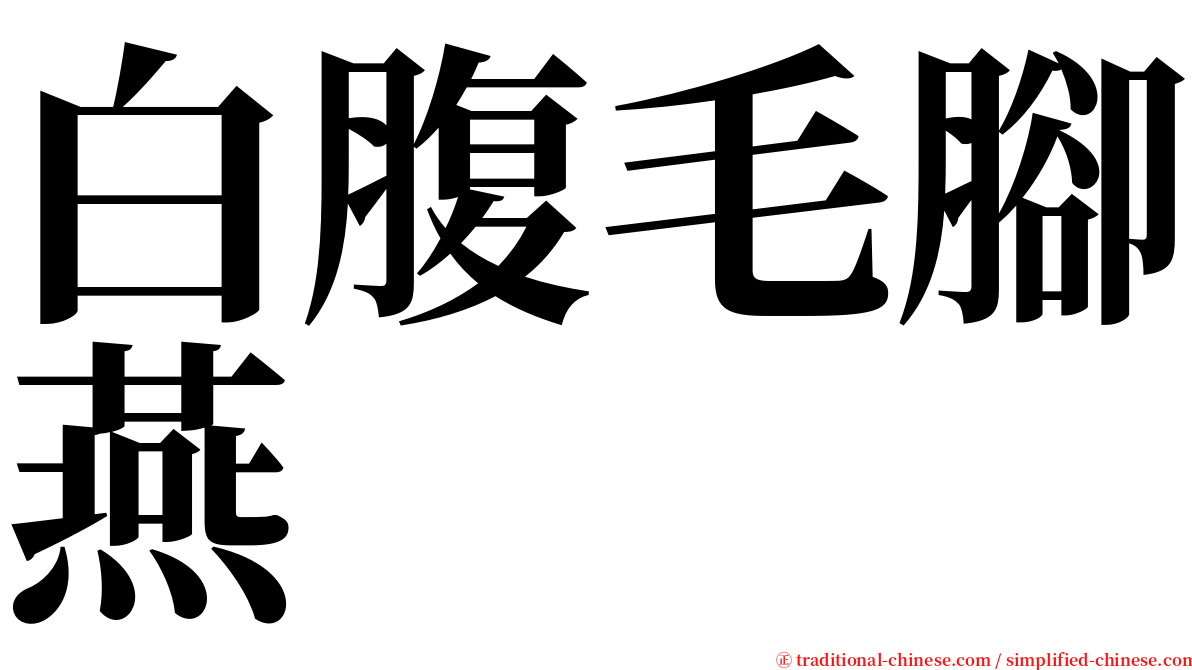 白腹毛腳燕 serif font