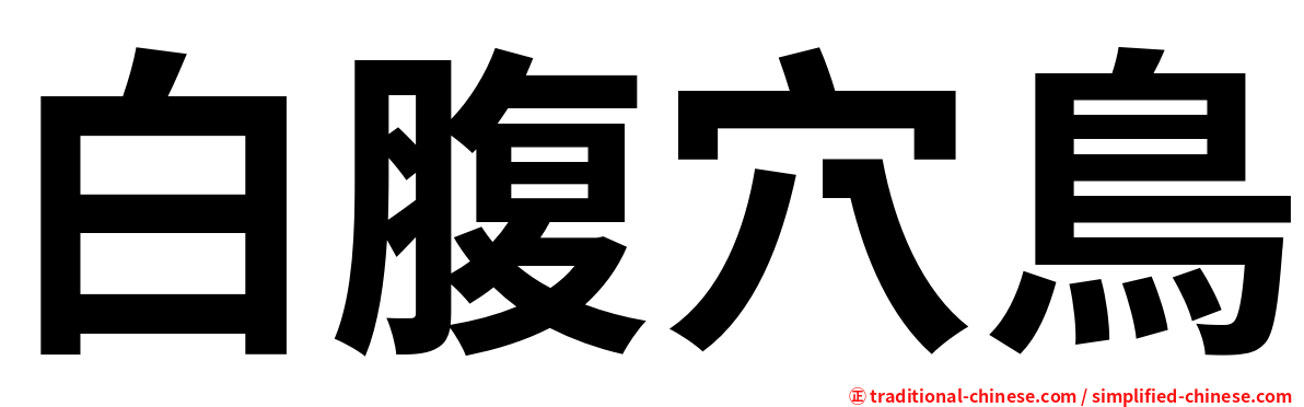 白腹穴鳥