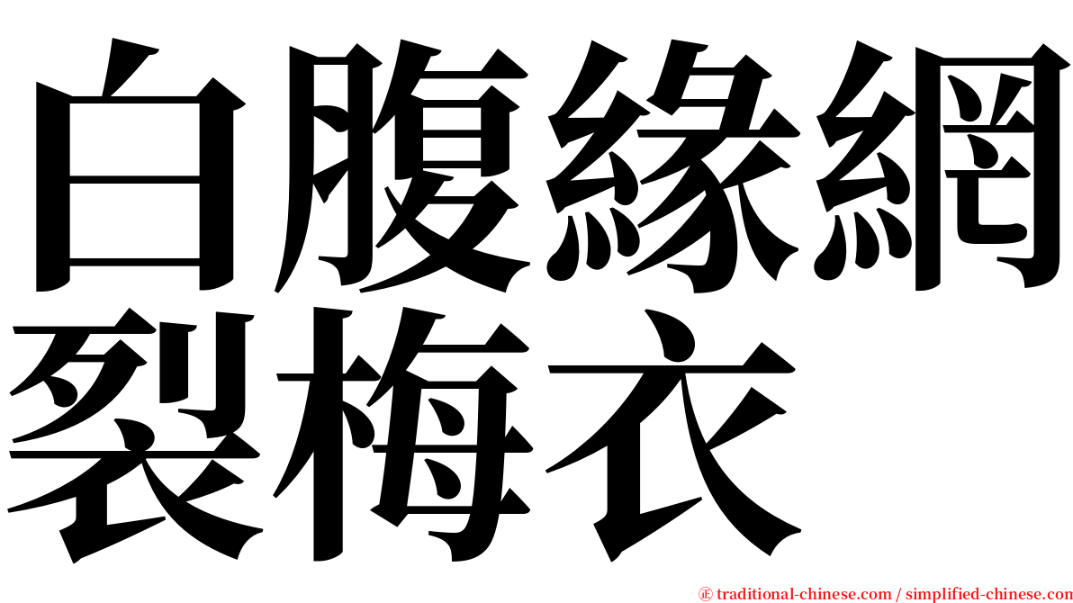 白腹緣網裂梅衣 serif font
