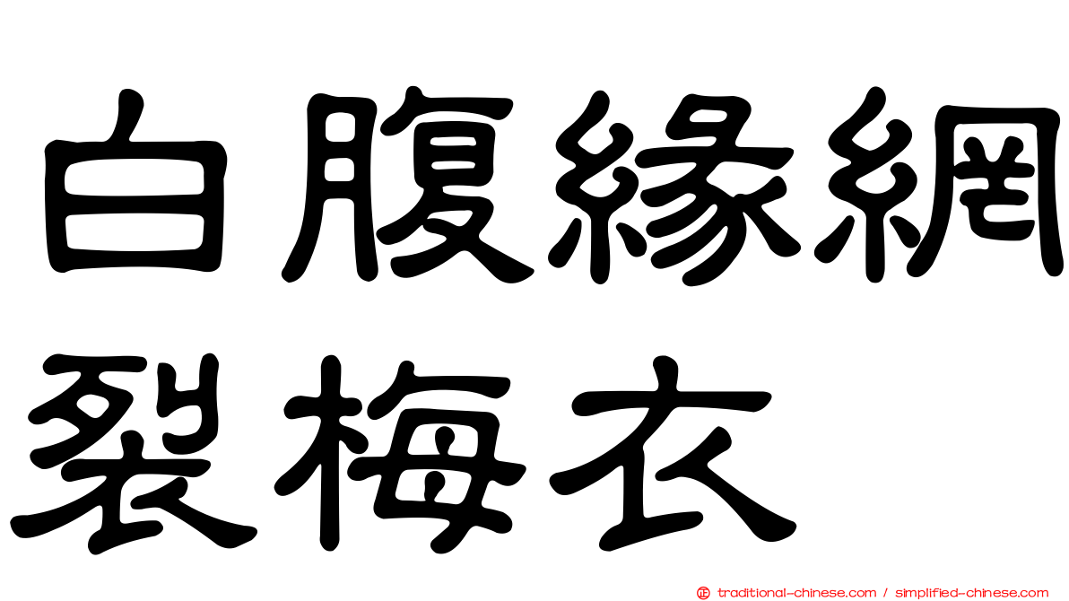 白腹緣網裂梅衣