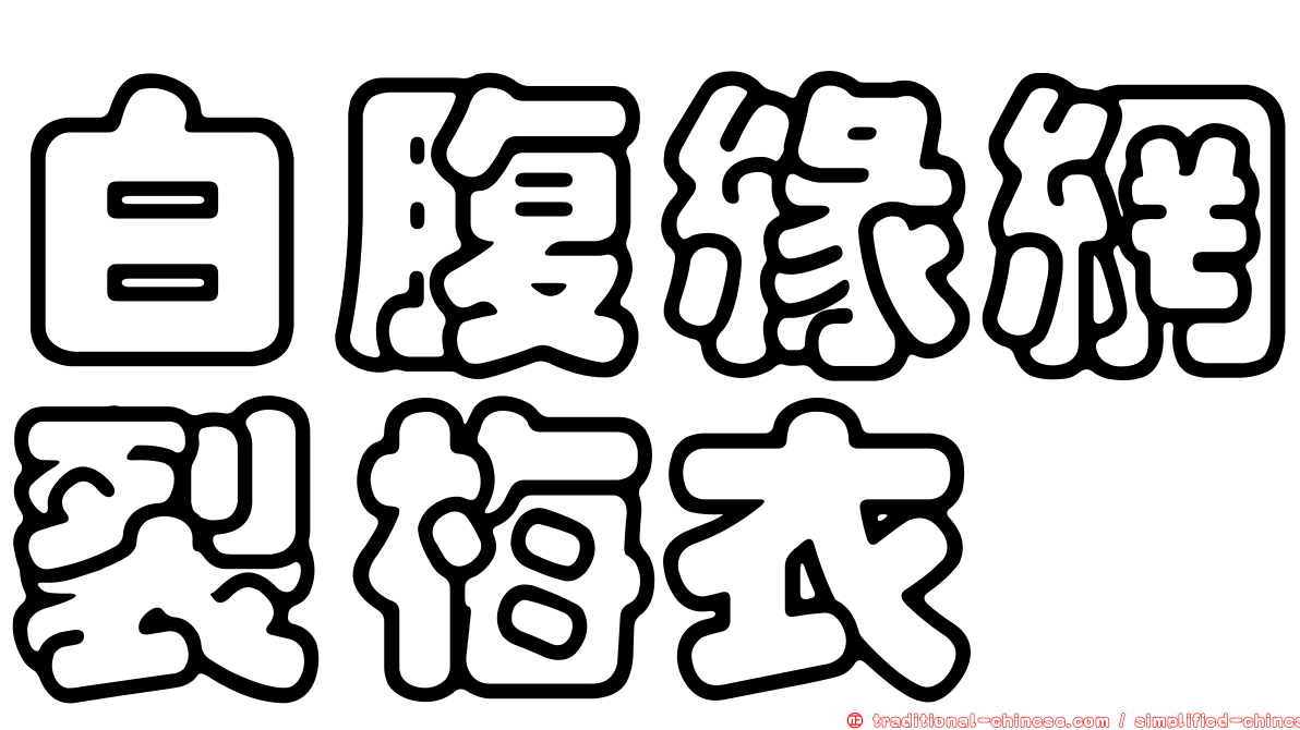 白腹緣網裂梅衣