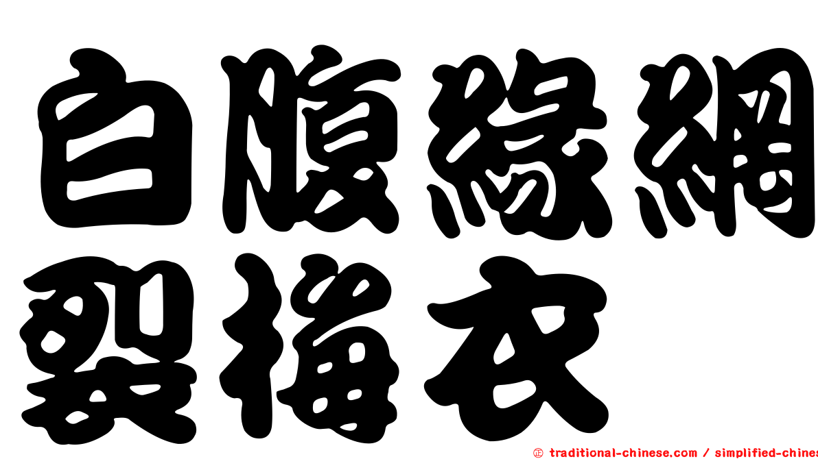 白腹緣網裂梅衣