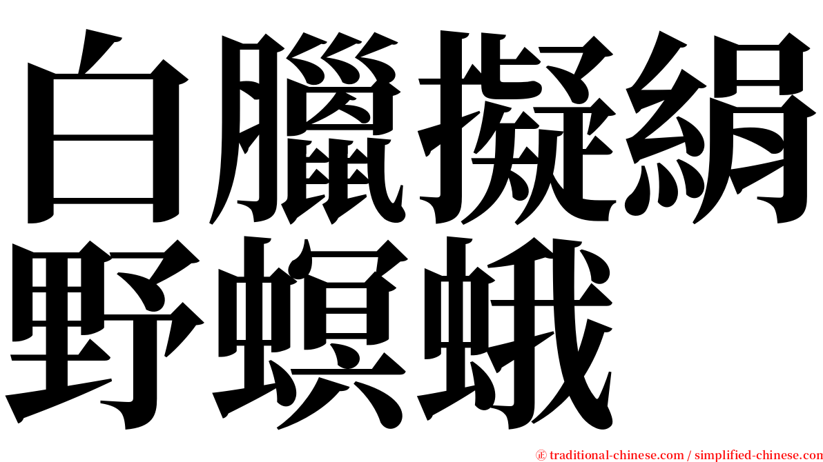 白臘擬絹野螟蛾 serif font