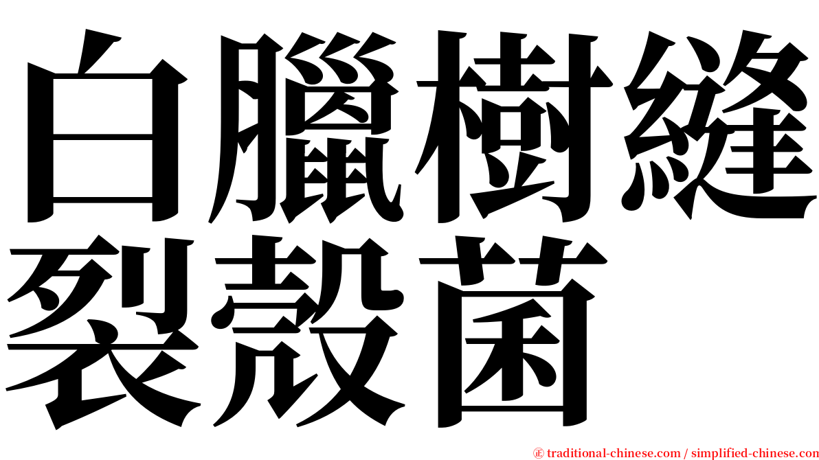 白臘樹縫裂殼菌 serif font