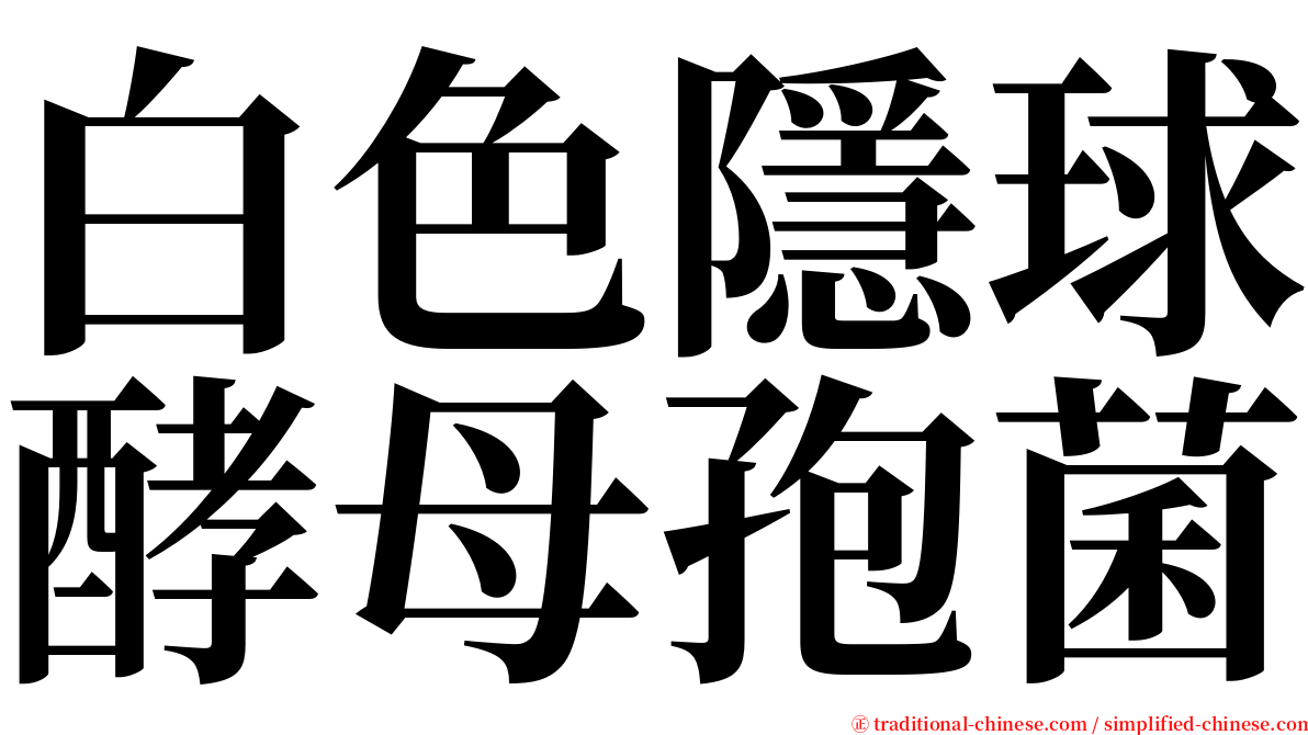 白色隱球酵母孢菌 serif font