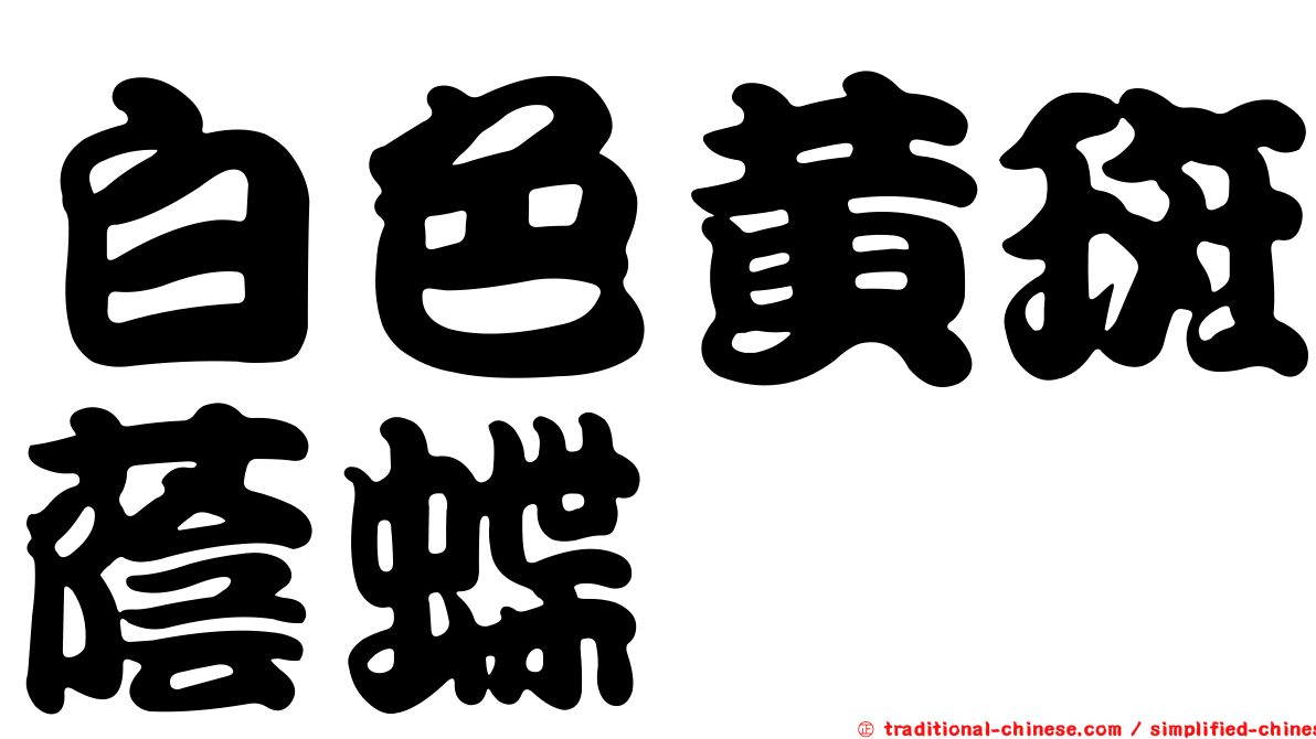 白色黃斑蔭蝶