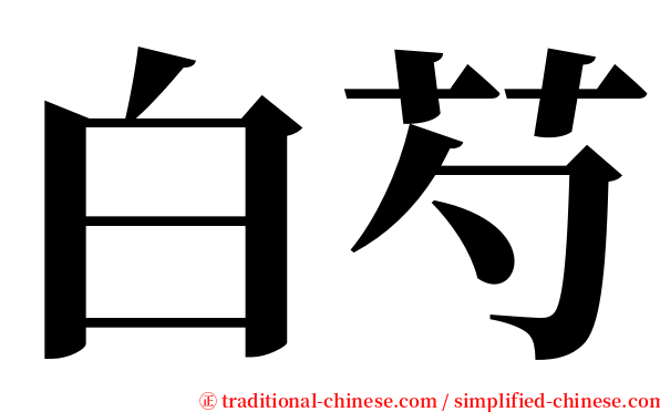 白芍 serif font