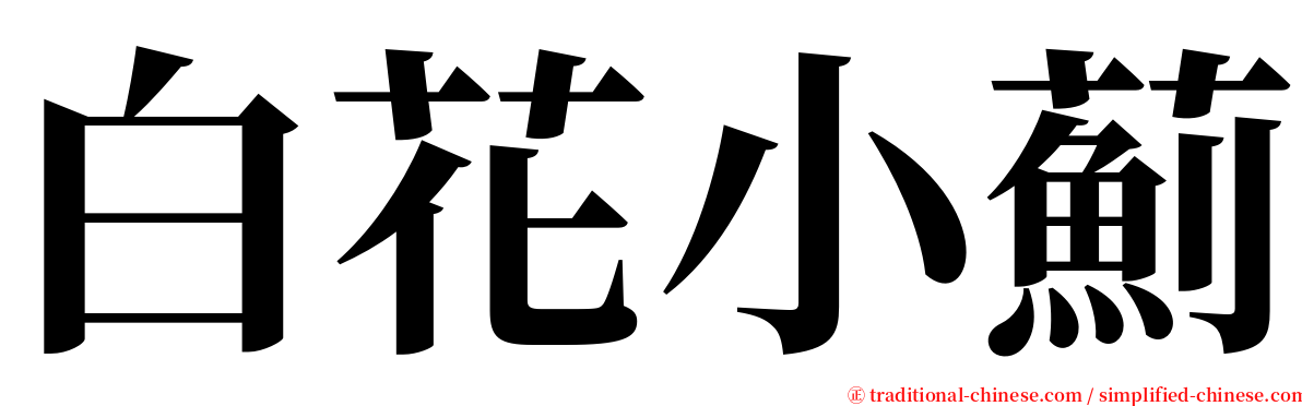 白花小薊 serif font