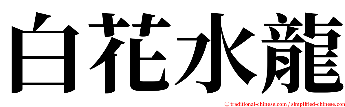 白花水龍 serif font