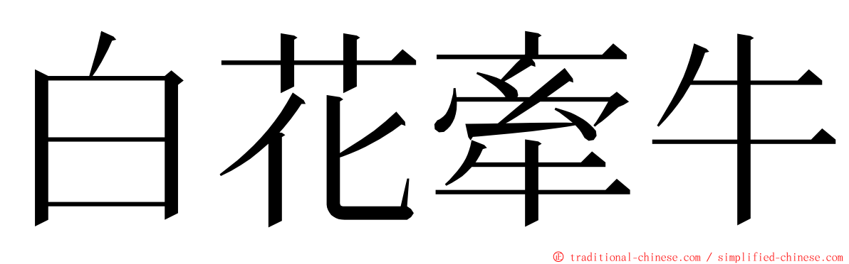 白花牽牛 ming font