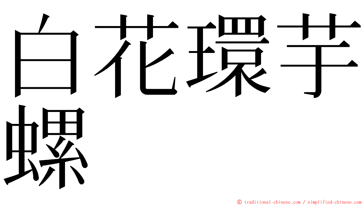 白花環芋螺 ming font