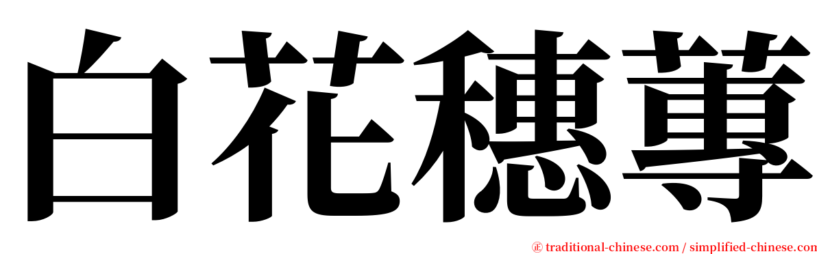 白花穗蓴 serif font