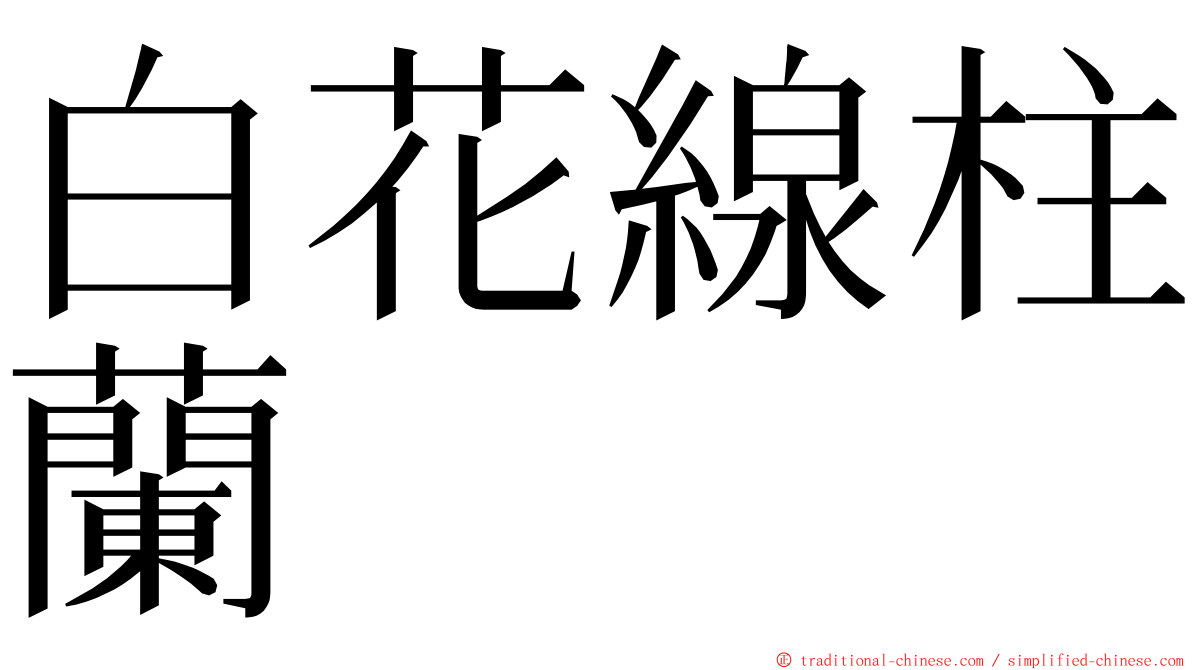 白花線柱蘭 ming font