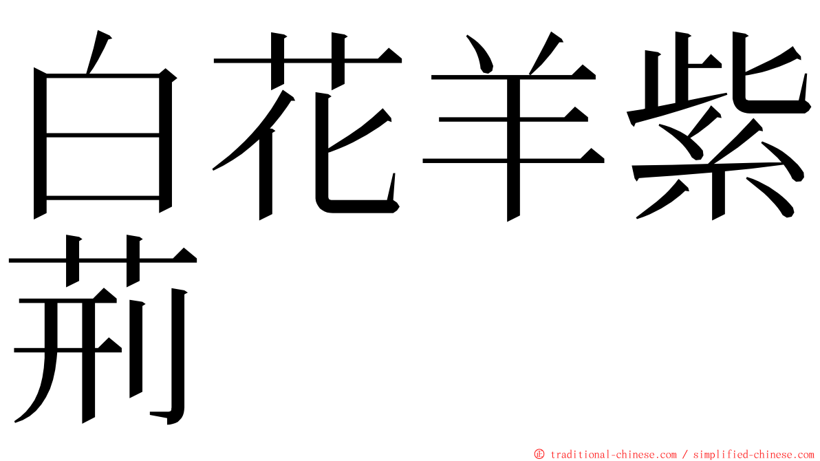 白花羊紫荊 ming font