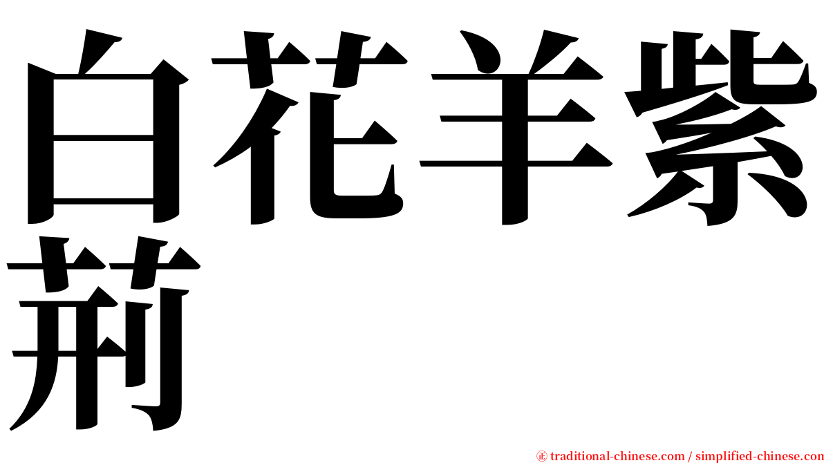 白花羊紫荊 serif font