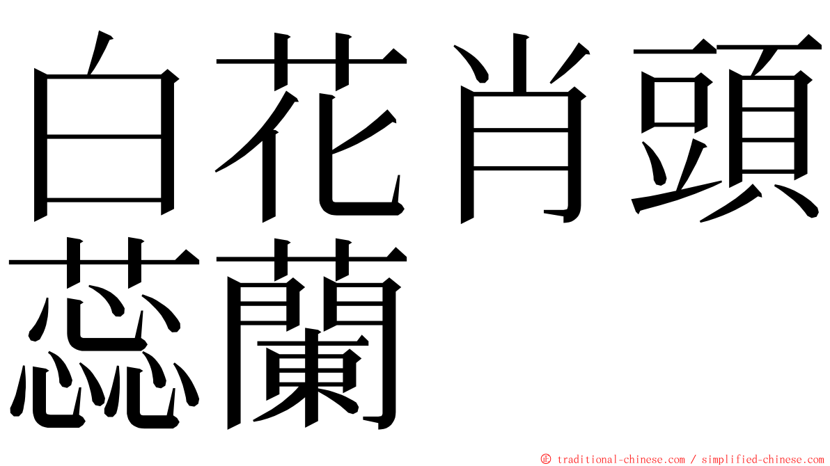 白花肖頭蕊蘭 ming font