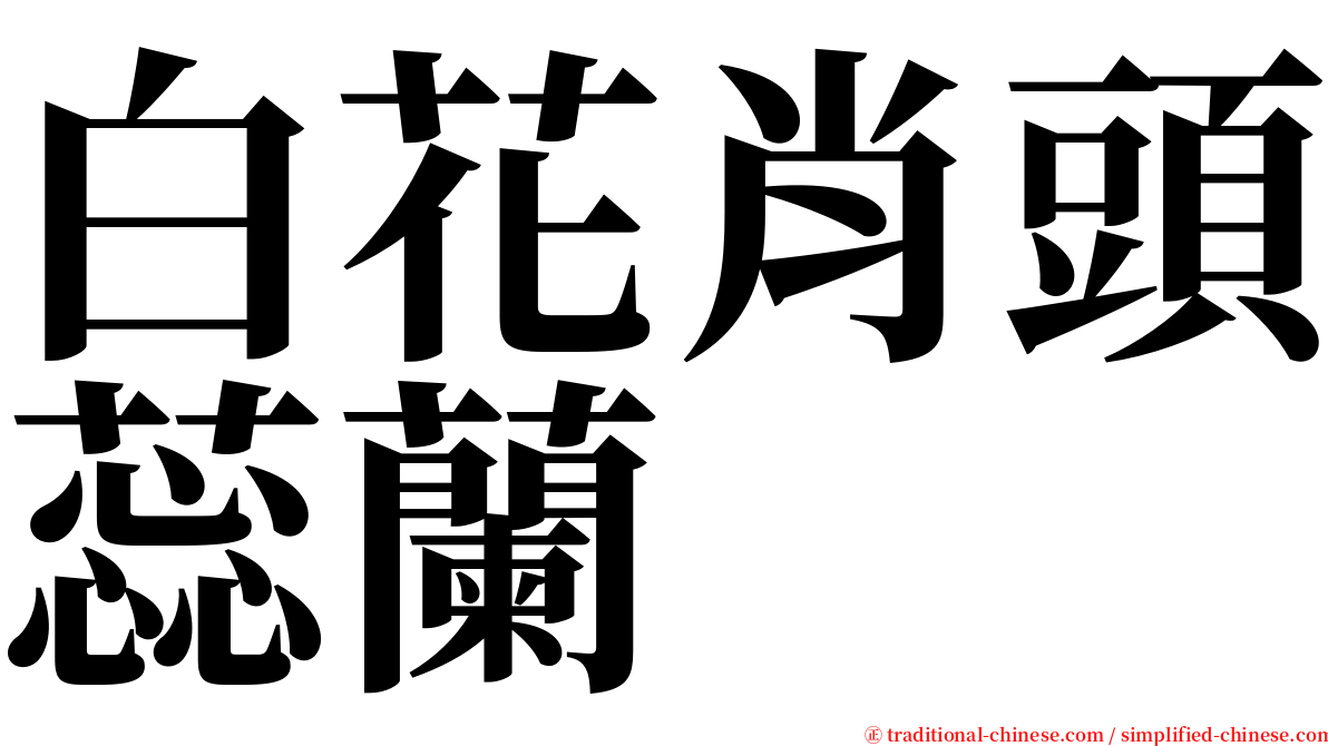 白花肖頭蕊蘭 serif font