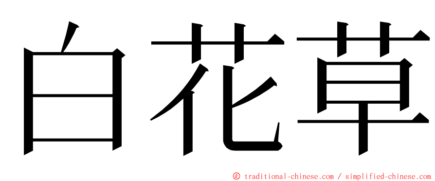 白花草 ming font