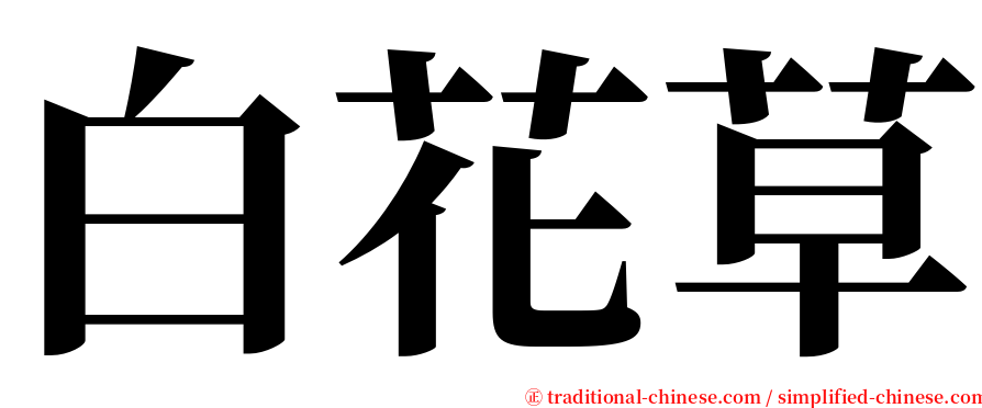 白花草 serif font