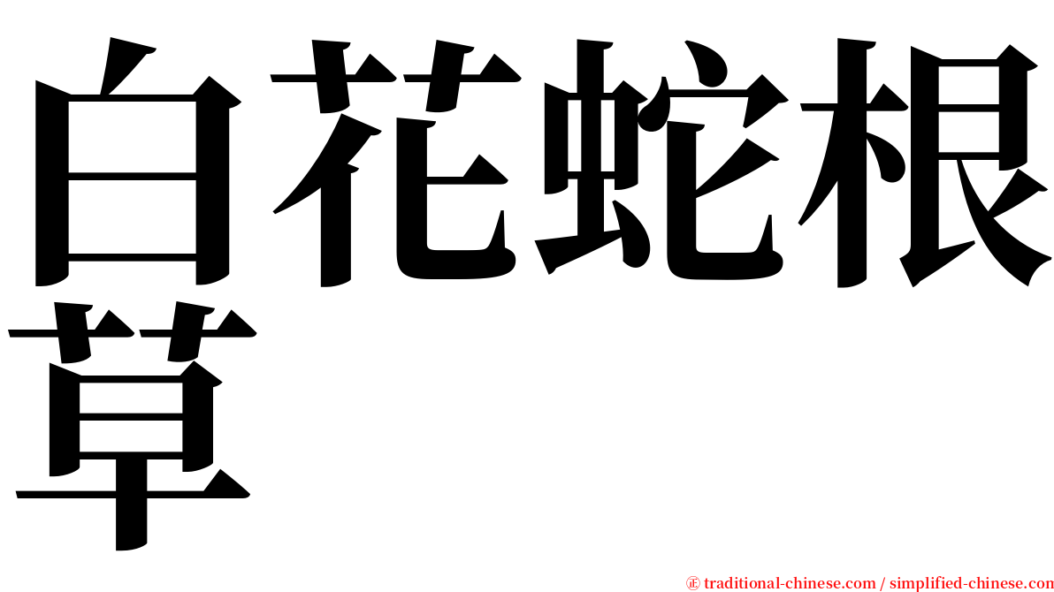 白花蛇根草 serif font