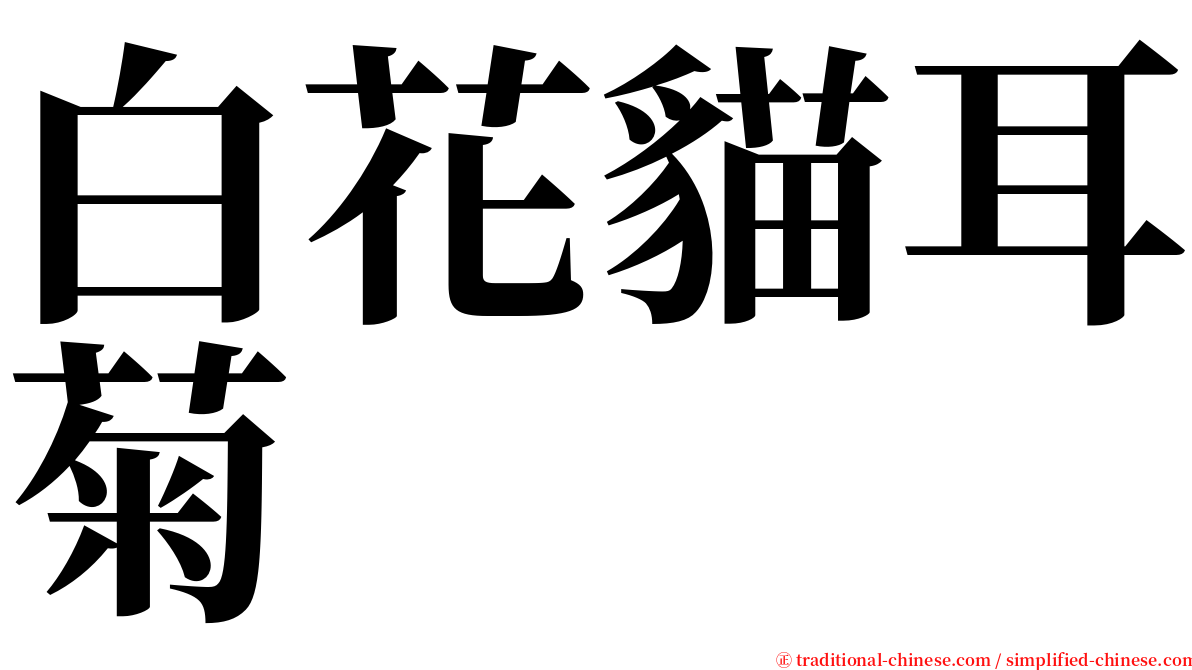 白花貓耳菊 serif font