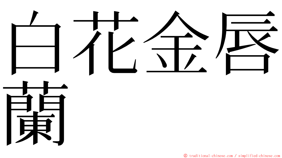 白花金唇蘭 ming font