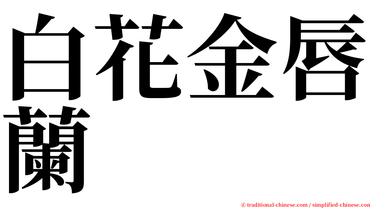 白花金唇蘭 serif font