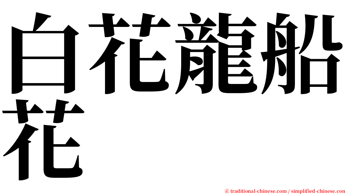 白花龍船花 serif font