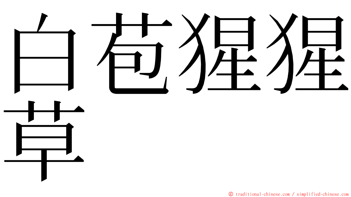 白苞猩猩草 ming font