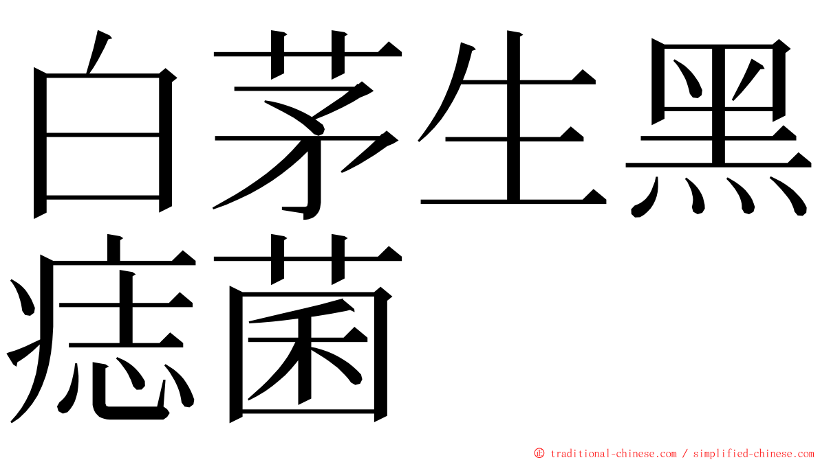 白茅生黑痣菌 ming font