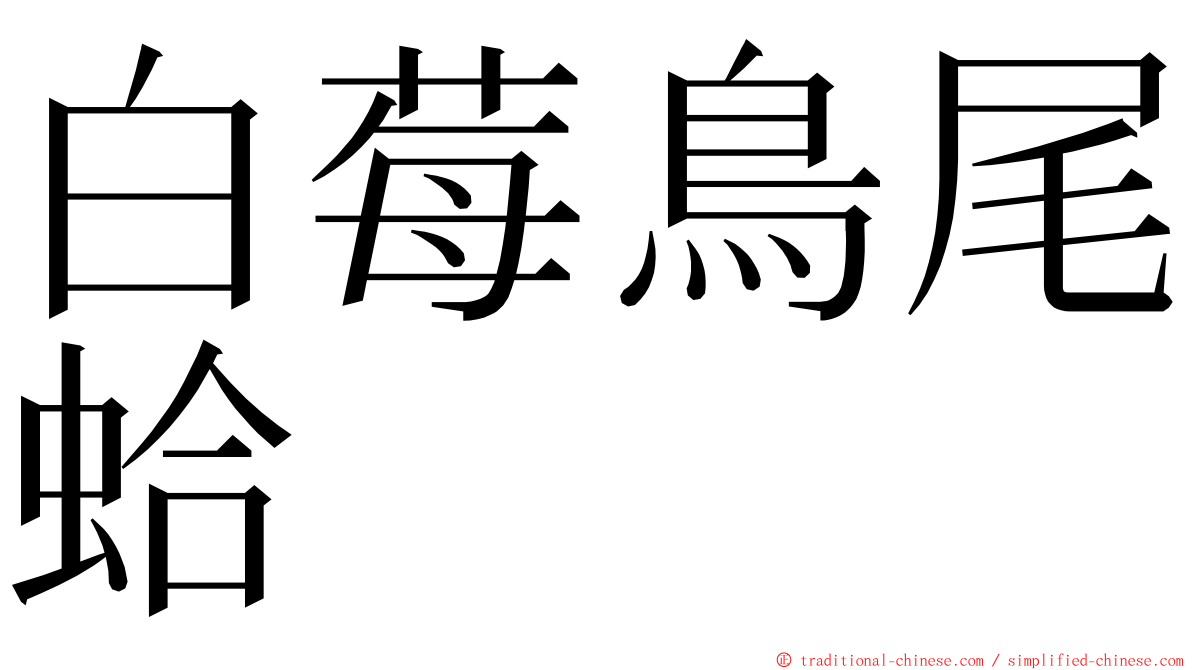 白莓鳥尾蛤 ming font