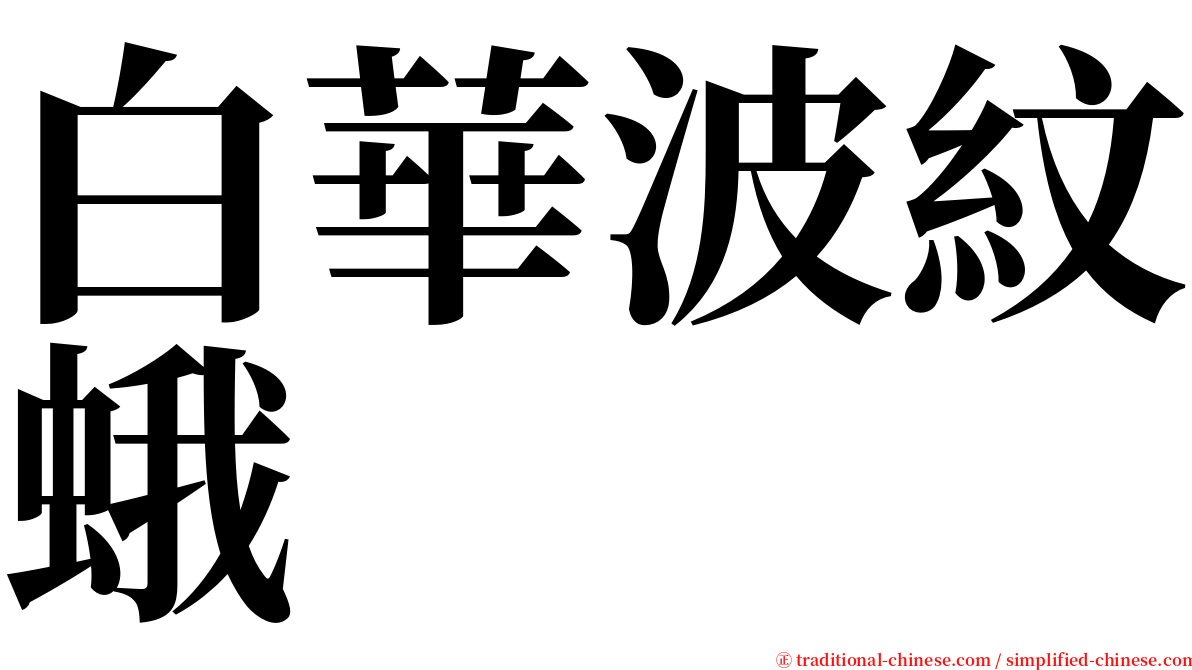 白華波紋蛾 serif font