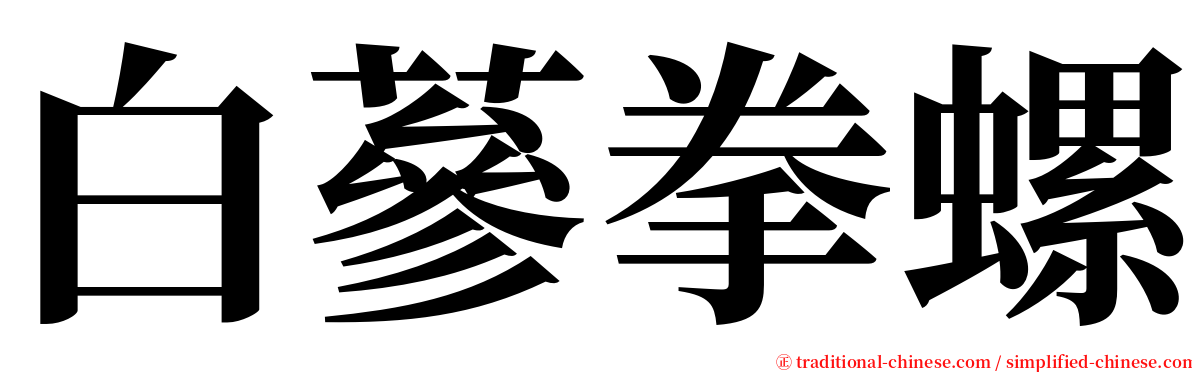 白蔘拳螺 serif font