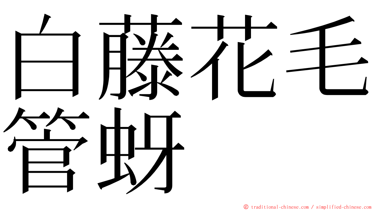 白藤花毛管蚜 ming font