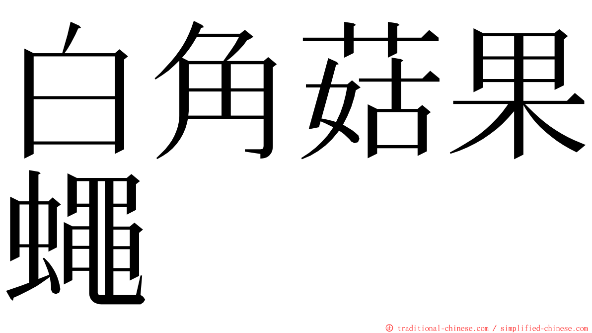 白角菇果蠅 ming font