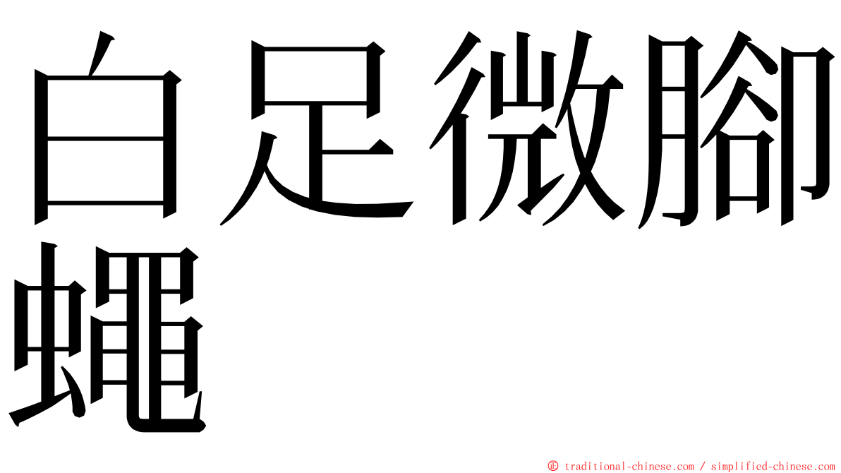 白足微腳蠅 ming font