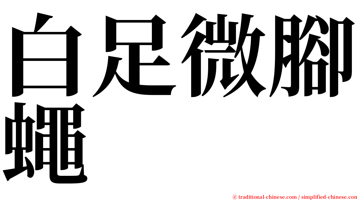 白足微腳蠅 serif font