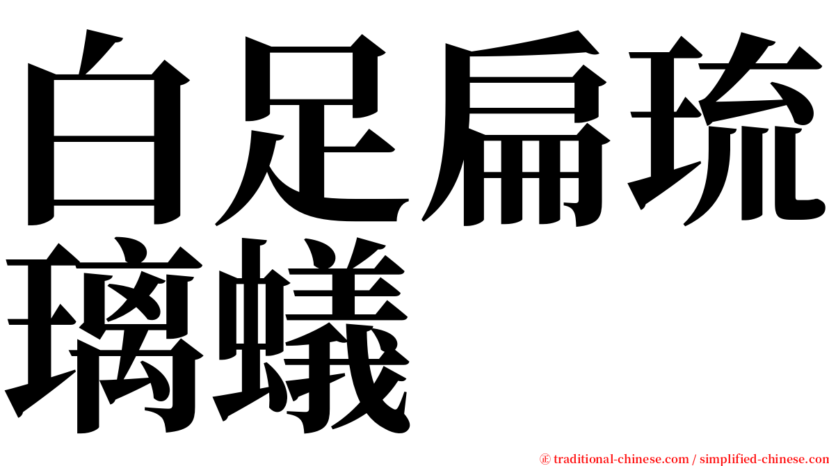 白足扁琉璃蟻 serif font