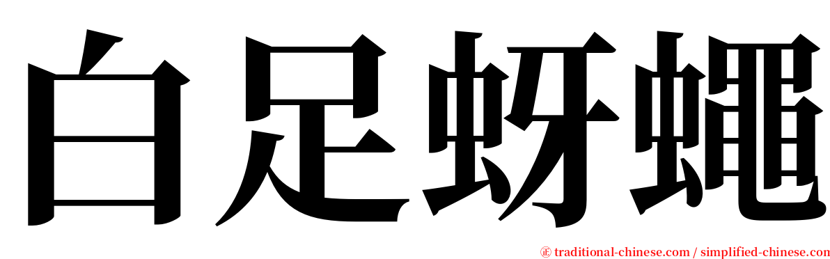 白足蚜蠅 serif font