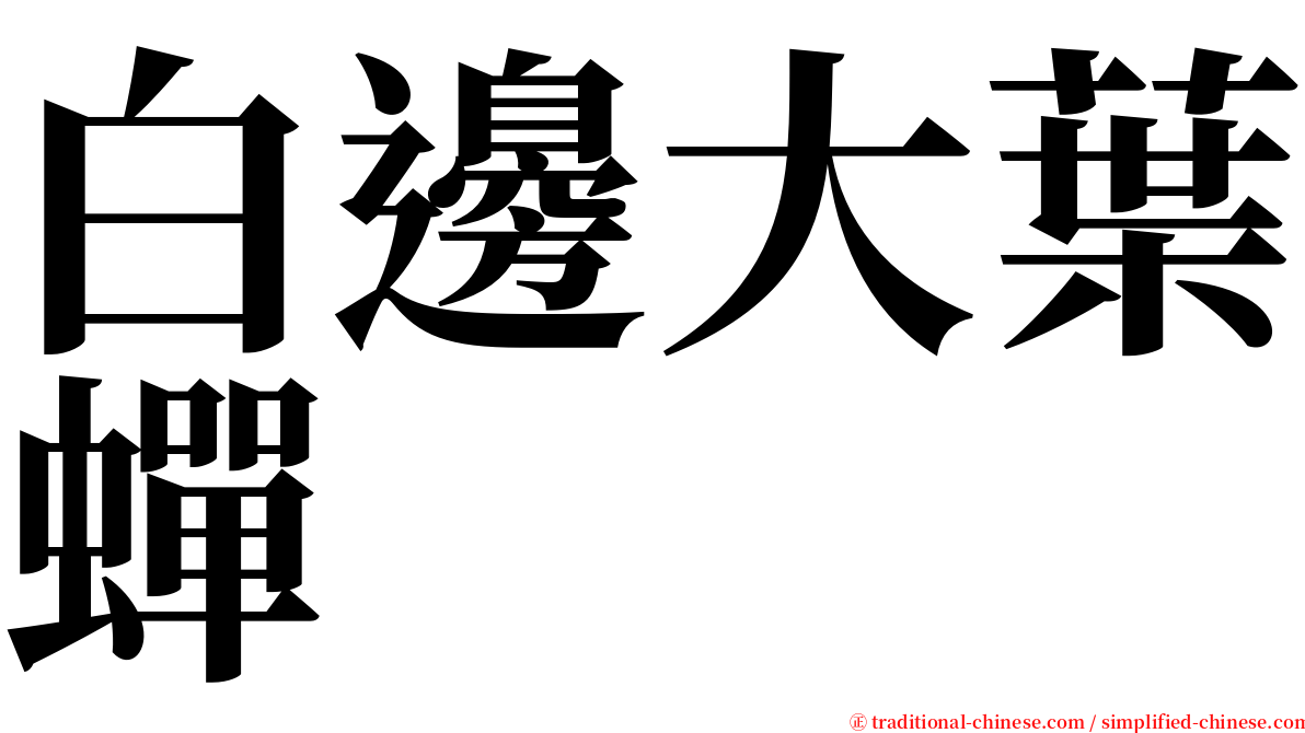 白邊大葉蟬 serif font