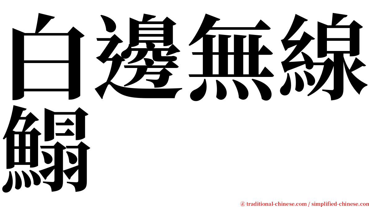 白邊無線鰨 serif font