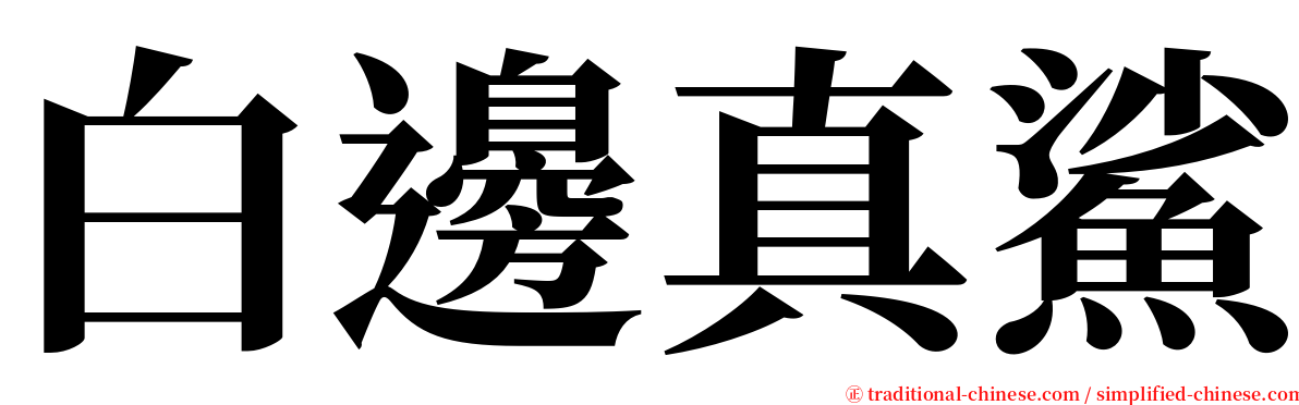 白邊真鯊 serif font