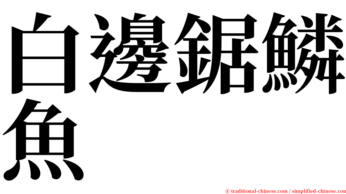 白邊鋸鱗魚 serif font