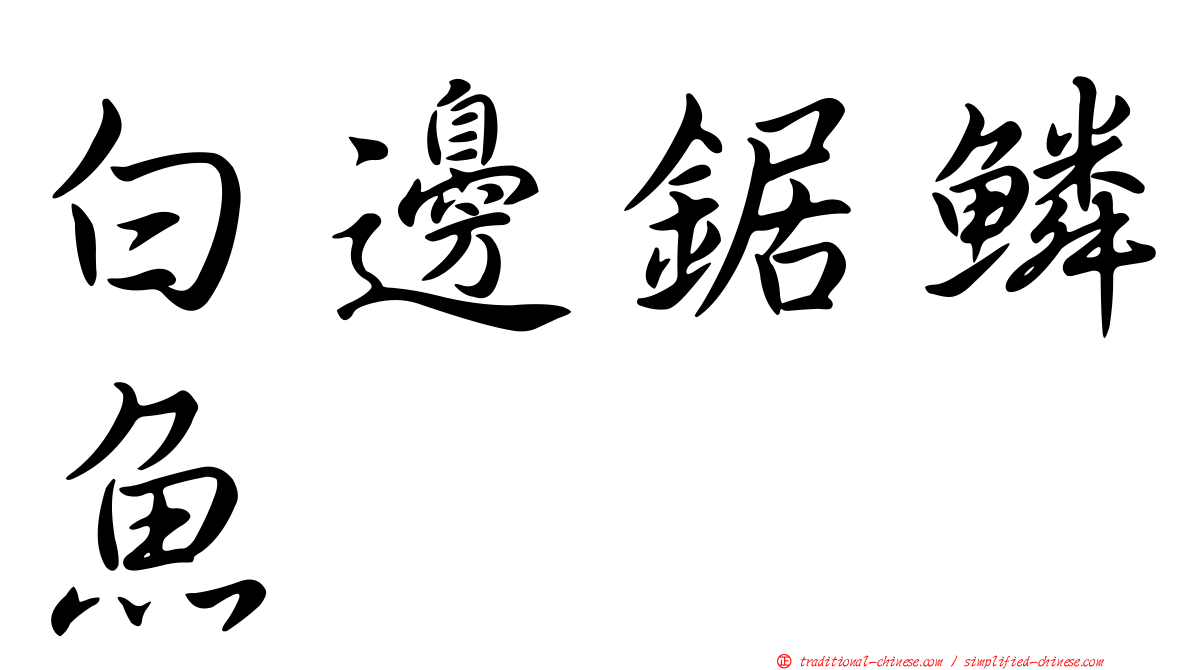 白邊鋸鱗魚