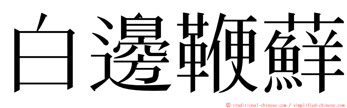 白邊鞭蘚 ming font