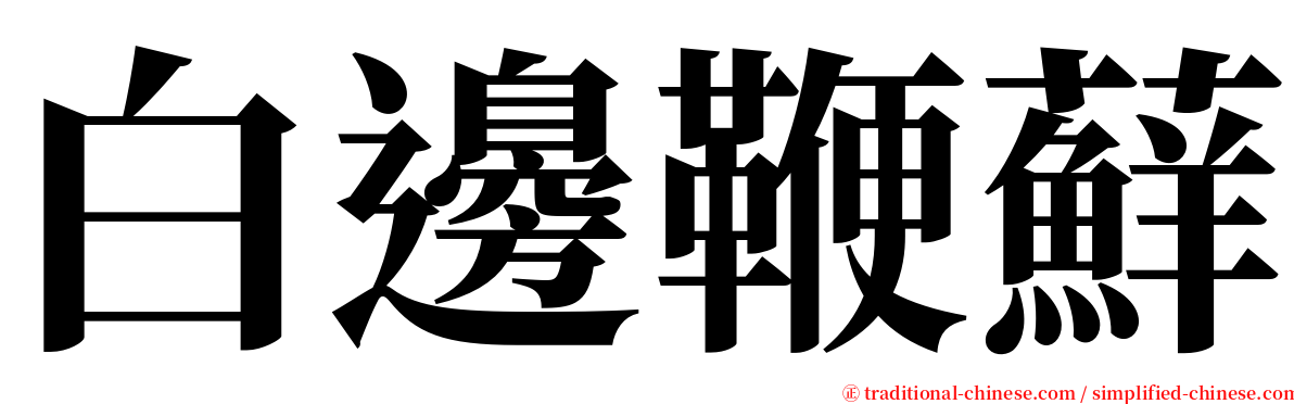 白邊鞭蘚 serif font