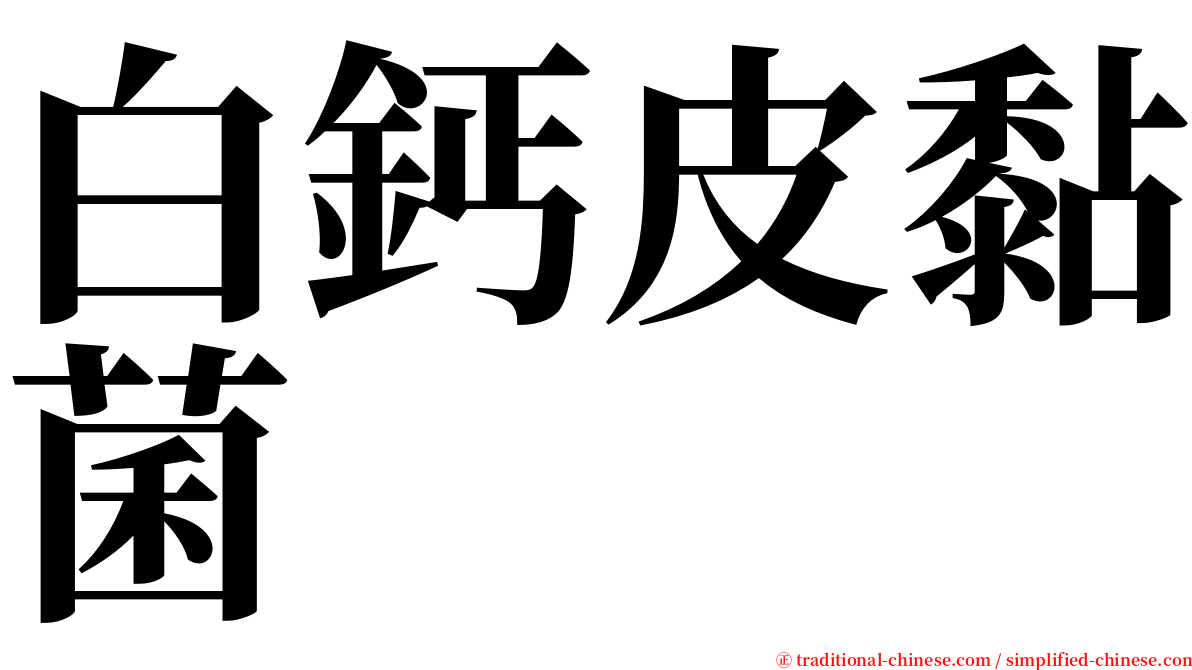 白鈣皮黏菌 serif font