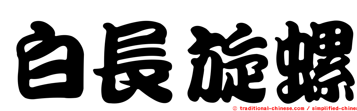 白長旋螺