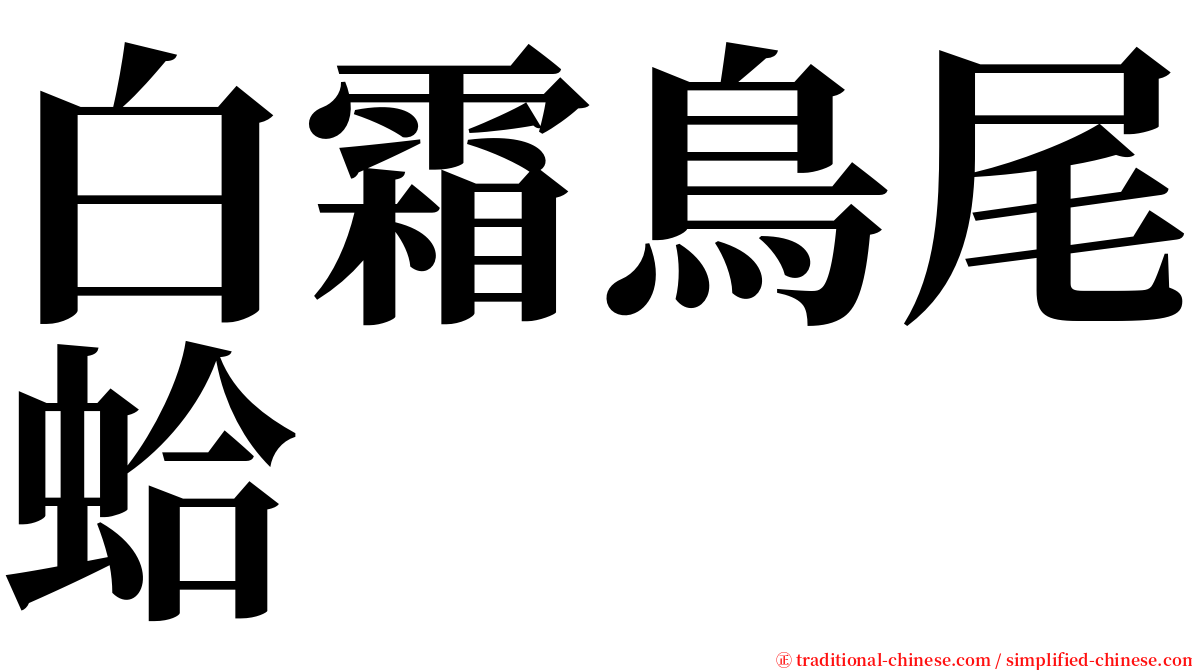 白霜鳥尾蛤 serif font