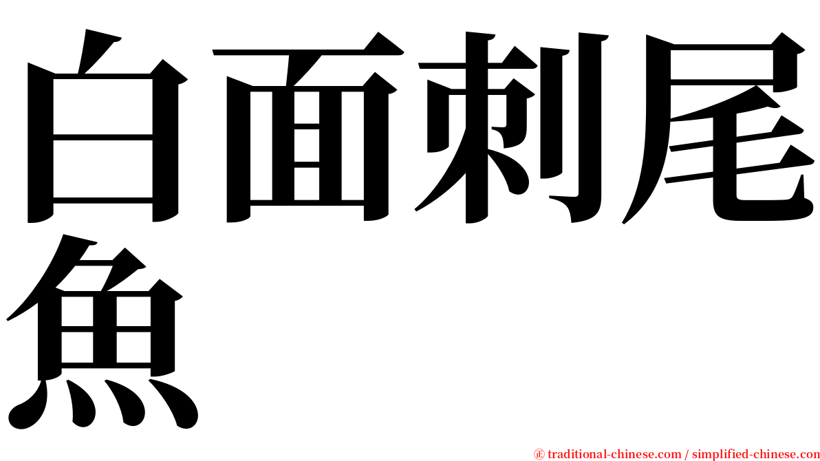 白面刺尾魚 serif font